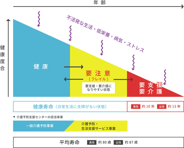 健康寿命、平均寿命